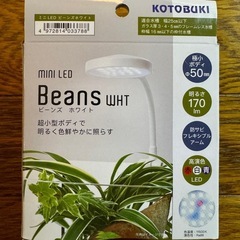 新品 ミニ LED ライト 照明 Beans ビーンズ コトブキ KOTOBUKI 寿工芸  の画像
