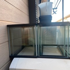 水槽の画像