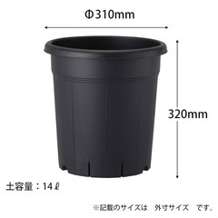 プランター(植木鉢)の画像