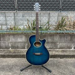 Aria エレアコ FET-500EBLS（セミハードケース付）...