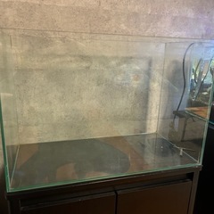 コトブキ工芸　ガラス水槽60cm
