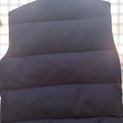 中綿入りベストの画像