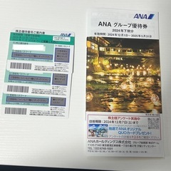 ANA株主優待券✖️3枚、2025年11月まで使用可能