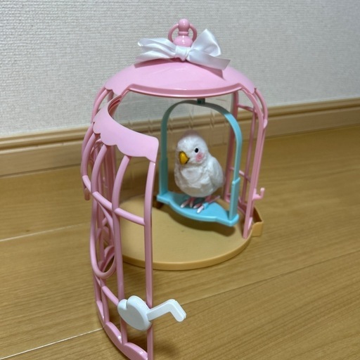 おしゃべり上手なインコ　鳥　言葉を繰り返します！