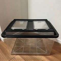 鈴木製作所　飼育容器　　プラケース