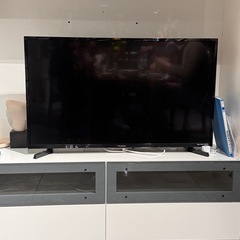 テレビ