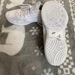 【受付終了】バスケットシューズの画像