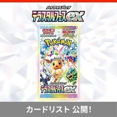 1月3日秋葉原でポケカをします