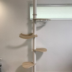 ［お譲り先決まりました］キャットタワー　