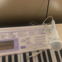 CASIO LH-122 電子オルガン 61鍵 マイク付の画像