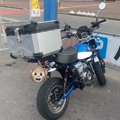 ホンダMTバイク ピンクナンバー仲間