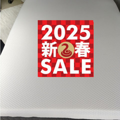 〜1/8限定！2025新春セール！【167860円→38000円】エマ・スリープ ハイブリッドV2 プラス ダブル