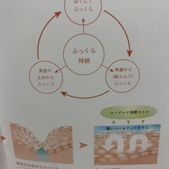☆超新発売未開封ユウグレナ発ONEプレシャスクリ-ム大人の女性の肌悩みを解決するの画像