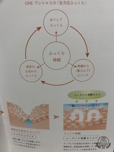 ☆目覚めよ！美しい肌超新発売新品未開封ユウグレナ発ONEプレシャスの化粧液とクリ-ム肌の各層ケアに着目し『全方位ふっくら』を叶える