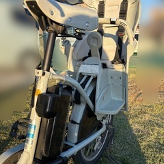 ビッケ モブ dd  水色