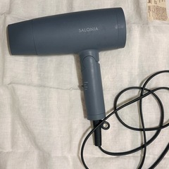 サロニア SALONIA スピーディーイオンドライヤー 