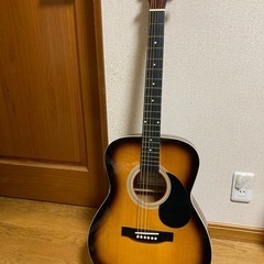 アコスティックギター