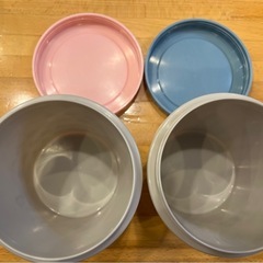 サラダカップの画像