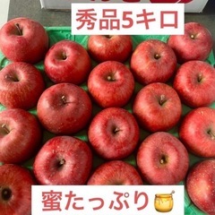 長野県産　秀品　サンふじ　りんご　5キロ