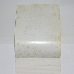 【送料無料】 REPORT PAD A4 B中罫 60枚の画像