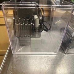 tetra テトラ　水槽の画像