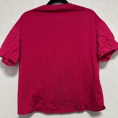 トップス　ピンク　ぴんく　Ｔシャツ　夏　春　可愛い　刺繍　柄　透け感の画像