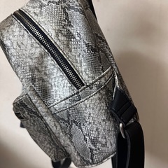 🤍パイソンリュック　AZUL by moussyの画像