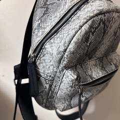 🤍パイソンリュック　AZUL by moussyの画像