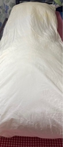 抱き枕 中身 本体 160×50