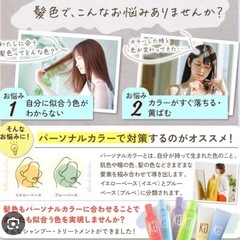 新品★ブルべ夏　2本セット】カラーシャンプー（アッシュグレー）　京極の画像
