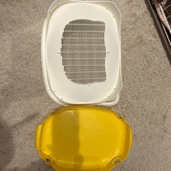 猫　デオトイレの画像