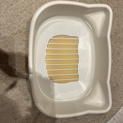 猫　デオトイレの画像