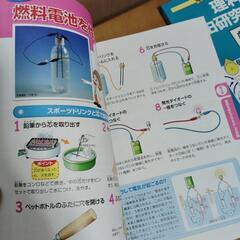 中学生　理科の自由研究の画像