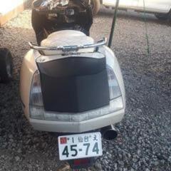 マグザム250激安の画像