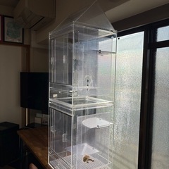 モモンガアクリルゲージ
