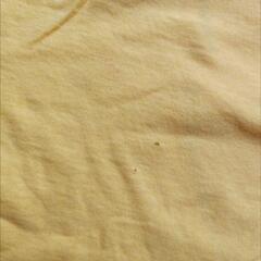 スポンジボブ　Tシャツの画像