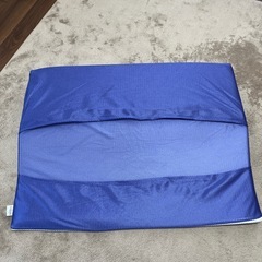 トゥルースリーパー　枕　の画像
