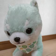 豆柴ぬいぐるみ