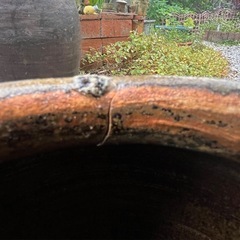 ⑤沖縄　壺
の画像