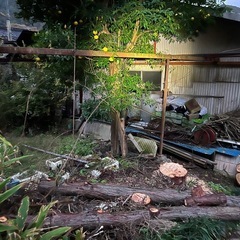 材木 キャンプ 木材 古木 材料 DIY 廃材 日曜大工 古材 ...