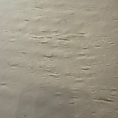 ニトリ マットレス 敷パッド 枕の画像