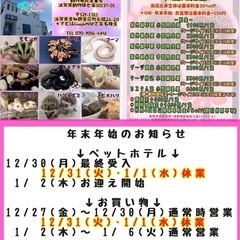 【爬虫類】🐍新年初売り🦎【哺乳類】 − 滋賀県