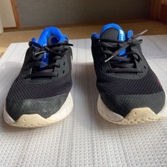 NIKE スニーカー24.5センチ【無料】の画像