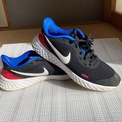 NIKE スニーカー24.5センチ【無料】