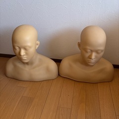 肩付き練習トレーニングマネキンヘッドの画像
