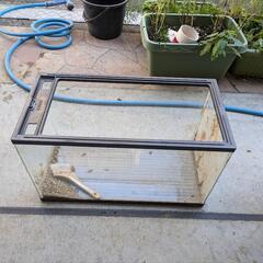 ガラス水槽