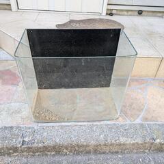 45センチ水槽ガラス水槽