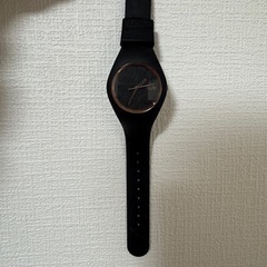 ICE Watch