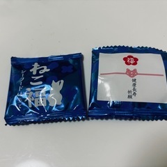 猫の餌の画像