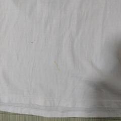 Tシャツ 古着の画像